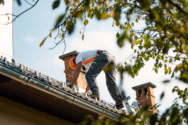 Best Gutter Installation and Repair  in Ithaca, MI