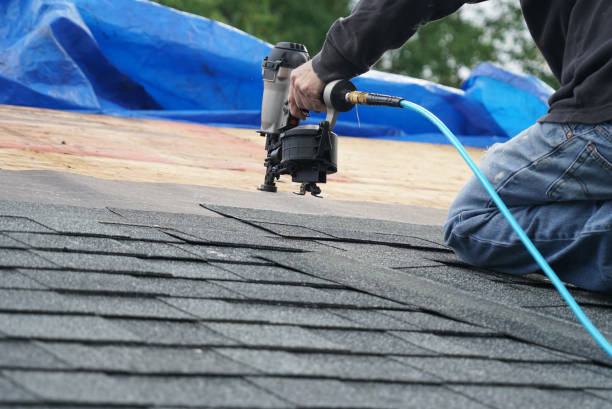 Best Roof Inspection  in Ithaca, MI